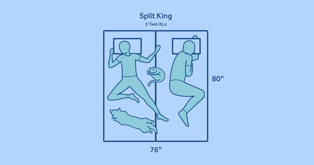 two cartoon people asleep in bed with dog and cat on split king mattress
