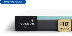 Cocoon Memory Foam side profile showing layers
